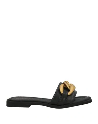 Bervicato Woman Sandals Black Size 7 Calfskin