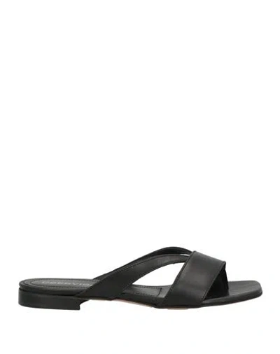 Bervicato Woman Thong Sandal Black Size 8 Calfskin
