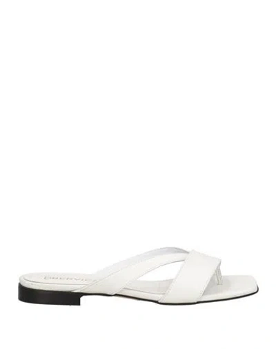 Bervicato Woman Thong Sandal White Size 8 Calfskin