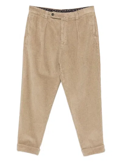 Berwich Chiaia Gd Pleated Corduroy Trousers In Brown