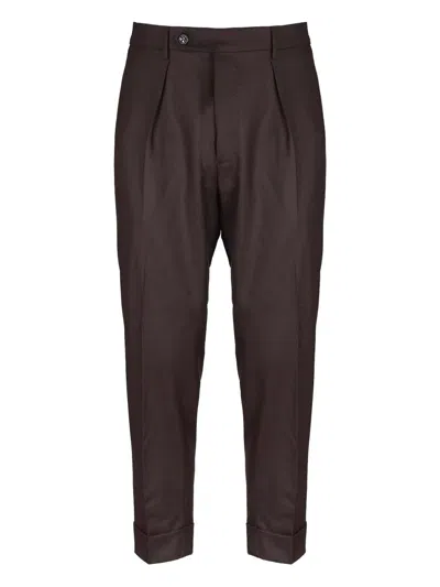 Berwich Chiaia Pleated Trousers In Brown
