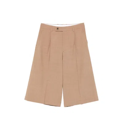 Berwich Linda Pleated Shorts In Brown