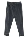 Berwich Oversize Fit Pants In Gray