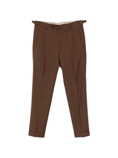Berwich Pinstripe Pleated Trousers In Brown