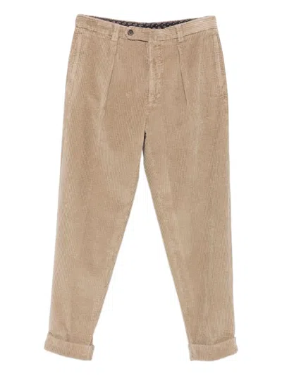 Berwich Pleated Corduroy Pants In Brown
