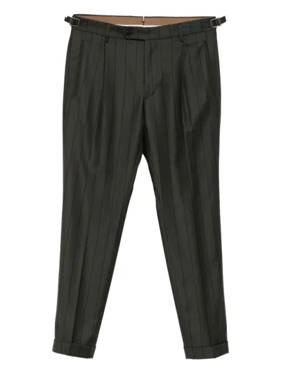 Berwich Pleated Pinstripe Trousers In Green