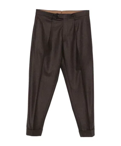 Berwich Pleated Wool Trousers In Multi