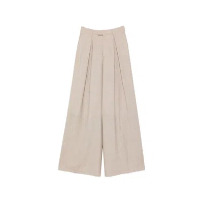 Berwich Nina Pleated Trousers In Neutral