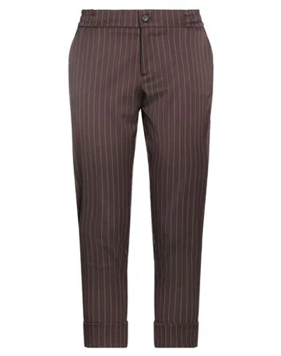 Berwich Woman Pants Brown Size 6 Polyester, Viscose, Elastane