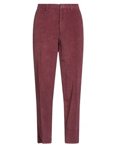 Berwich Woman Pants Garnet Size 8 Cotton, Elastane In Red