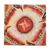 Bess Madrid Women's Butterfly Nº One - Multicolour Habotai Silk Scarf