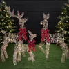 Best Choice Products 3-piece 2d Deer Family Set, Lighted Christmas Outdoor Decoration W/ 175 Lights, Stakes In Multi