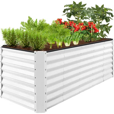 Best Choice Products 8x2x2ft Raised Metal Outdoor Garden Bed, Planter Box For Flowers, Vegetables, Herbs - White