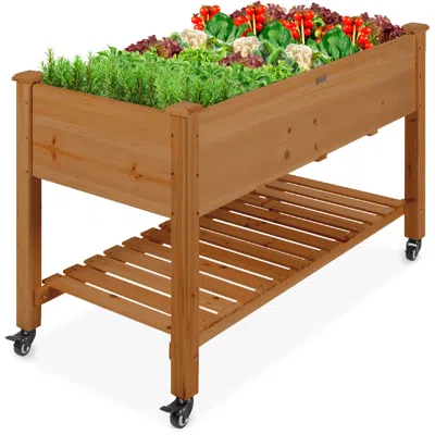 Best Choice Products Raised Garden Bed 48x23x32in Wood Mobile Elevated Planter W/ Wheel Locks, Shelf, Liner In Gray