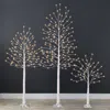 Best Choice Products Set Of 3 Lighted Twig Birch Trees, 4ft, 6ft, 8ft W/ 300 Leds, Warm White, Multicolor Lights