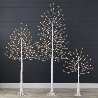 Best Choice Products Set Of 3 Lighted Twig Birch Trees, 4ft, 6ft, 8ft W/ 300 Leds, Warm White, Multicolor Lights