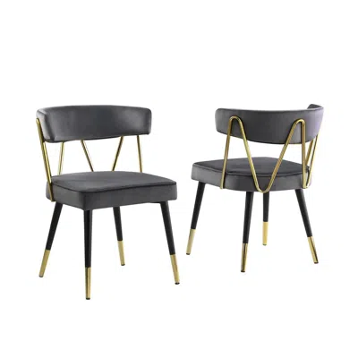 Best Master Furniture Aireys Gray Velvet Armless Chair With Gold Accents (set Of 2)