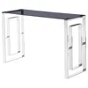 Best Master Furniture Best Master Mallory Stainless Steel And Smoked Glass Console Table In Silver In Gray