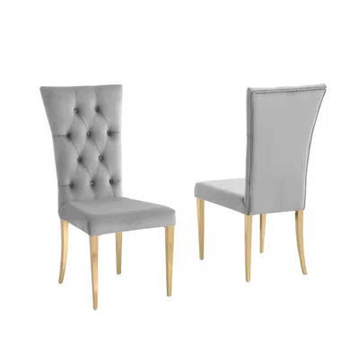 Best Master Furniture Danis Grey Velvet With Gold Dining Chairs, Set Of 2