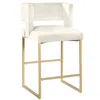 Best Master Furniture Lynx Cream Velvet Bar Stools In Gold (set Of 2) In White