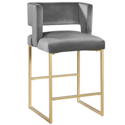 Best Master Furniture Lynx Gray Velvet Bar Stools In Gold (set Of 2)