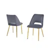 Best Quality Furniture Dark Grey Velvet Dining Side Chair Openback, Chrome Gold, Set Of 2