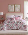 Betsey Johnson Vintage Floral Plush 4-pc. Comforter Set, Twin