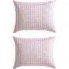 Betsey Johnson Wonderland Stripe Duvet Cover & Sham Set In Bright Pink