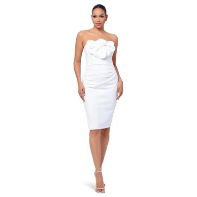 Betsy & Adam Scuba Dress Women's White Crepe Flower Off The Shoulder Frog342