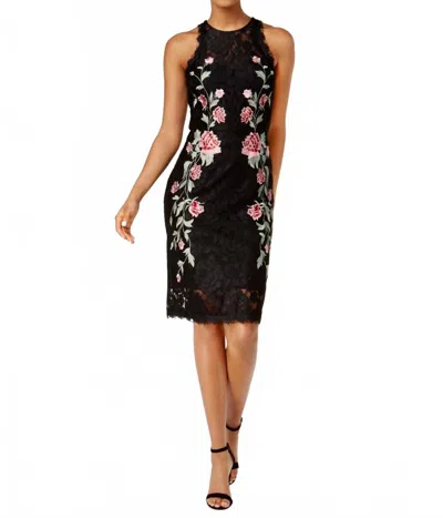 Betsy & Adam Women's Embroidered Lace Dress In Black/multi