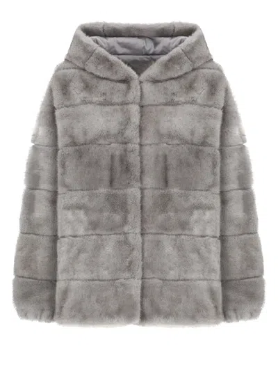 Betta Corradi Coats In Gray