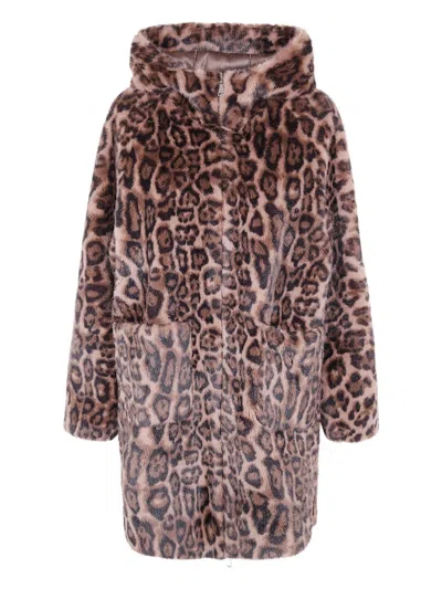 Betta Corradi Hooded Leopard Jacket In Brown