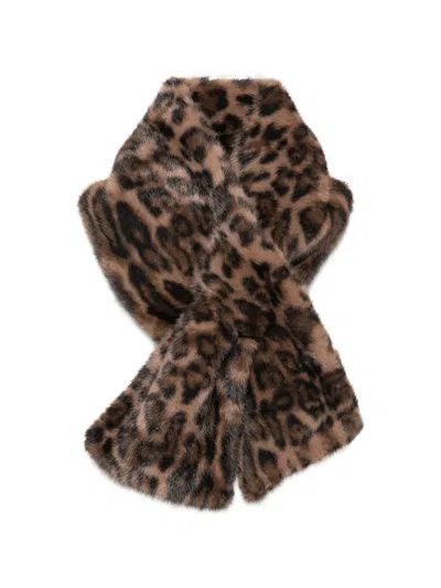 Betta Corradi Leopard-print Scarf In Brown