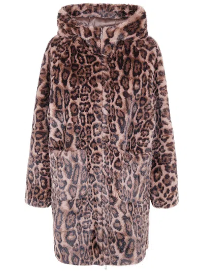 Betta Corradi Hooded Leopard Jacket In Brown