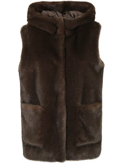 Betta Corradi Short Hoodie Waistcoat In Brown