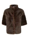 Betta Corradi Standard Collar Short Jacket In Brown