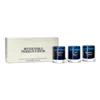 Better World Fragrance House 3 Piece Scented Candle Votive Set In Multi
