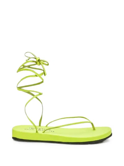 Bettina Vermillon Jenifer Thong Sandals In Green