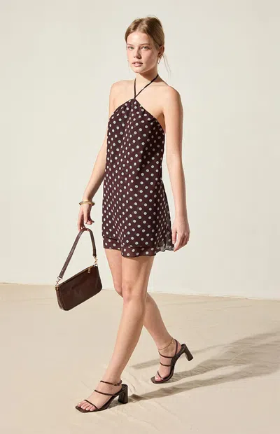 Beverly And Beck Women's Whitney Polka Dot Halter Mini Dress In Brown/blue In Multi
