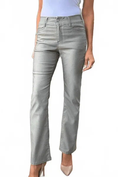 Bevy-flog Novel Pant In Sage In Gray