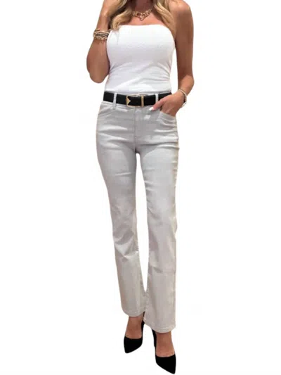 Bevy-flog Novel Pants In Light Grey In Gray