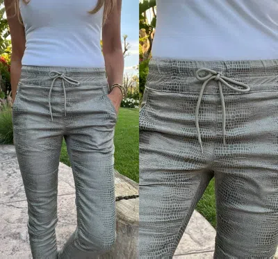 Bevy-flog Shely Pant In Green Snake In Gray