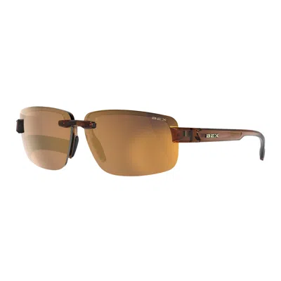 Bex Harris Clear Brown & Gold Sunglasses
