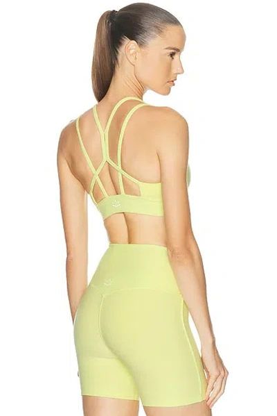 Beyond Yoga Spacedye Back To It Strappy Bra In Animal Print