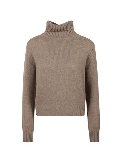 Beyou Ribbed Roll-neck Sweater In Multi