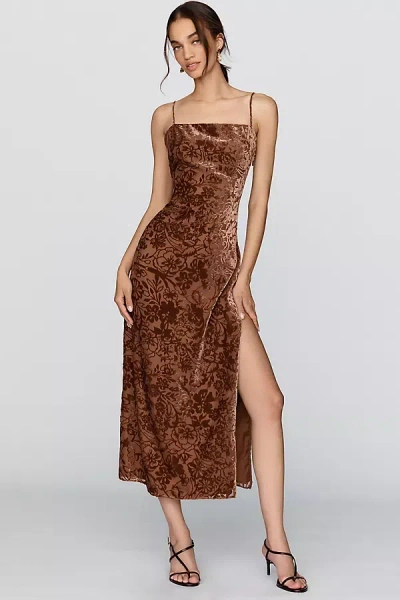 Bhldn Burnout Velvet Slip Maxi Dress In Brown