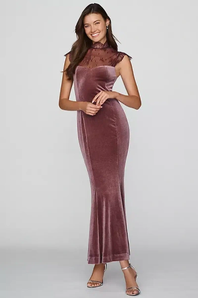 Bhldn Lace High-neck Velvet Maxi Dress In Brown
