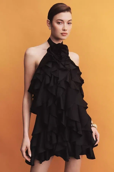 Bhldn Maria Rosette Ruffle Mini Dress In Black