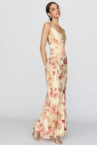 Bhldn Satin Corset Slip Maxi Dress In Animal Print