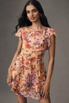 Bhldn Sleeveless Ruffled Chiffon Mini Dress In Multi